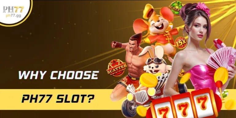 Bàn Baccarat trực tiếp mới tại sbotop casino