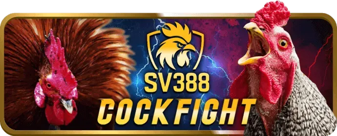 Lịch sử và giá trị cốt lõi của sbotop casino